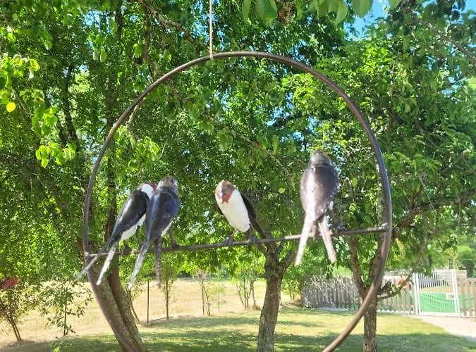 Bed and breakfast L'atelier 7